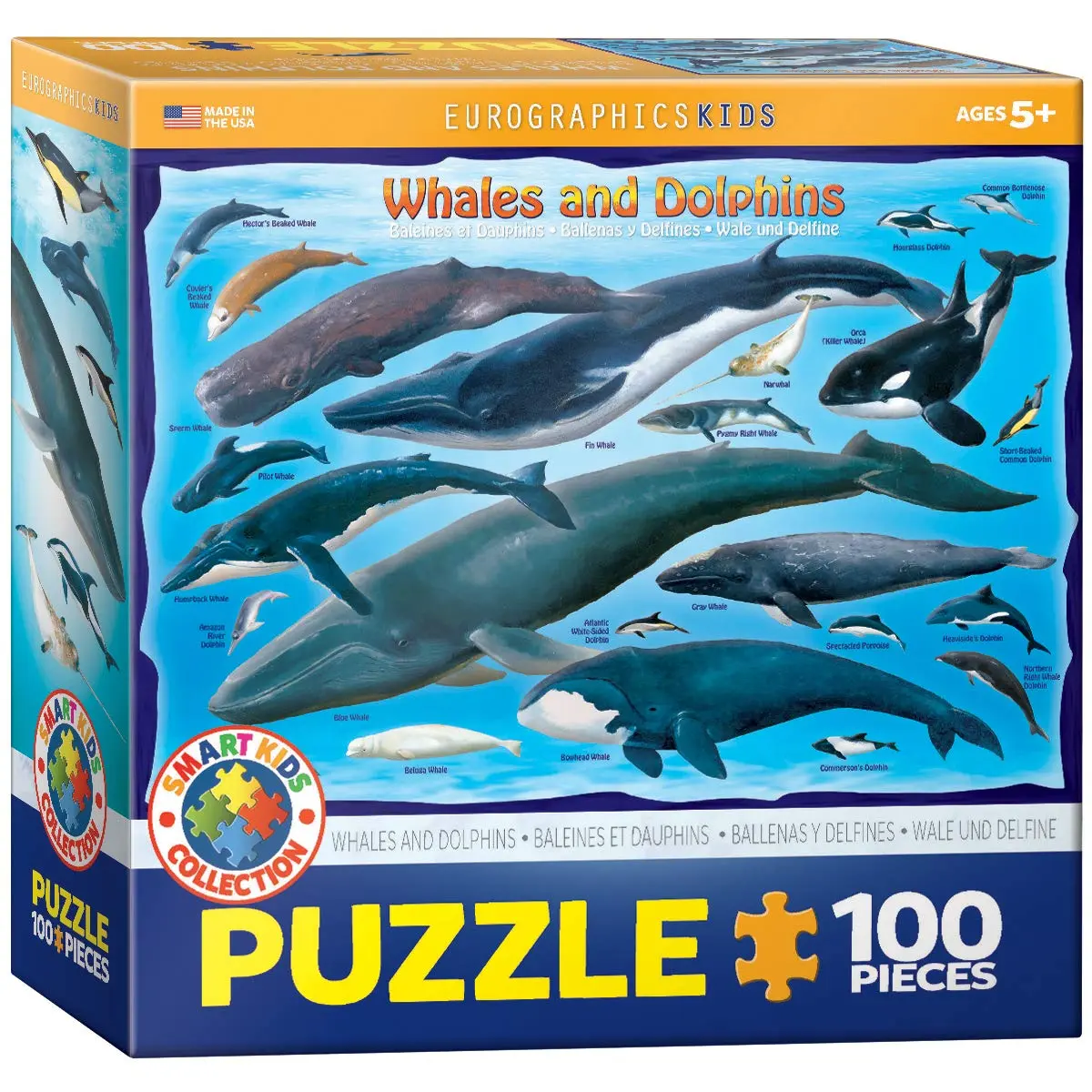 EuroGraphics Whales & Dolphins 100 Piece Jigsaw Puzzle 38.1 cm x 27.9 cm | Educational Toy Made in USA - main product image
