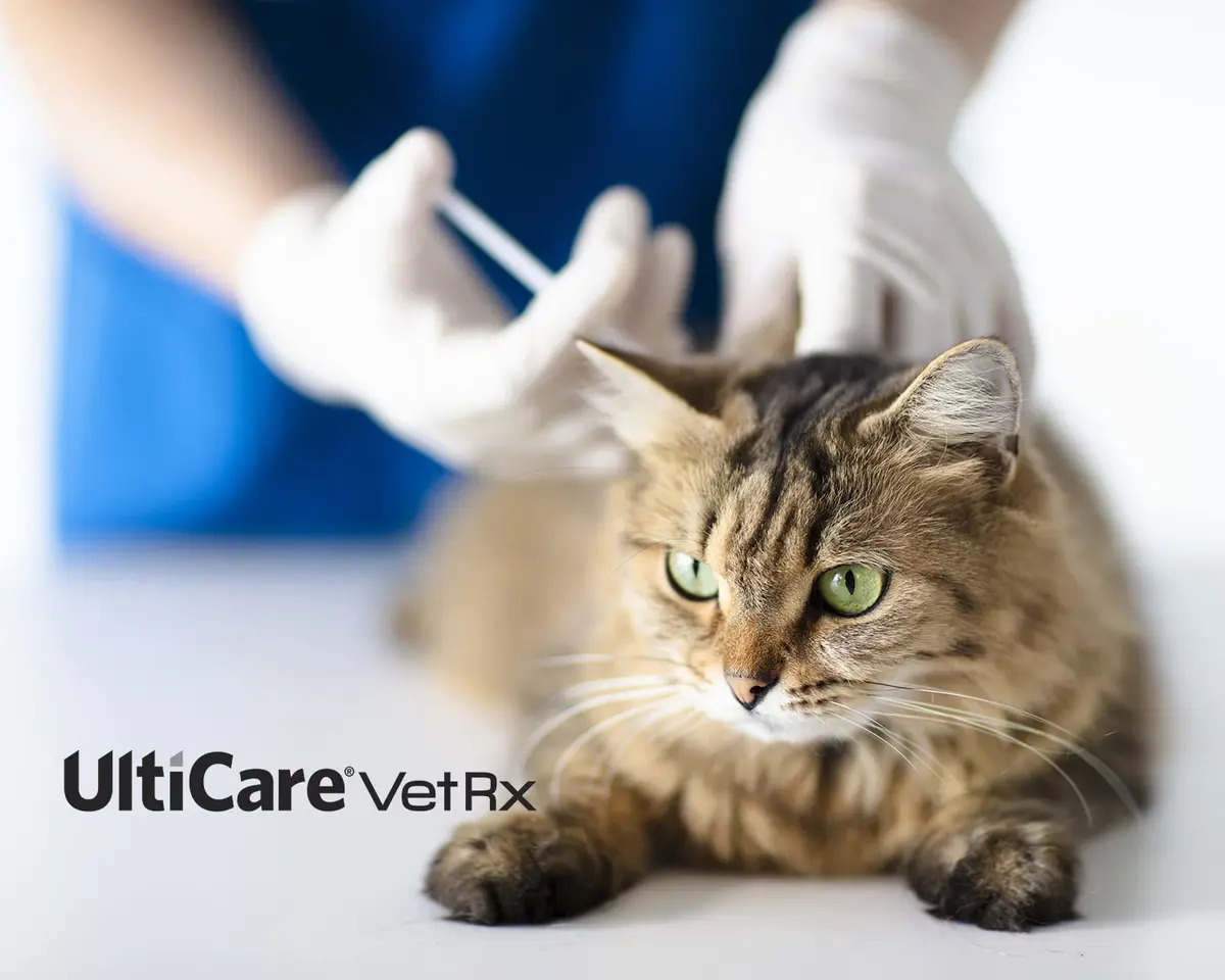 UltiCare VetRx U-100 Insulin Syringes for Pets, 3/10cc, 29G x 1/2" | Precise, Comfortable Pet Insulin Delivery - view 4