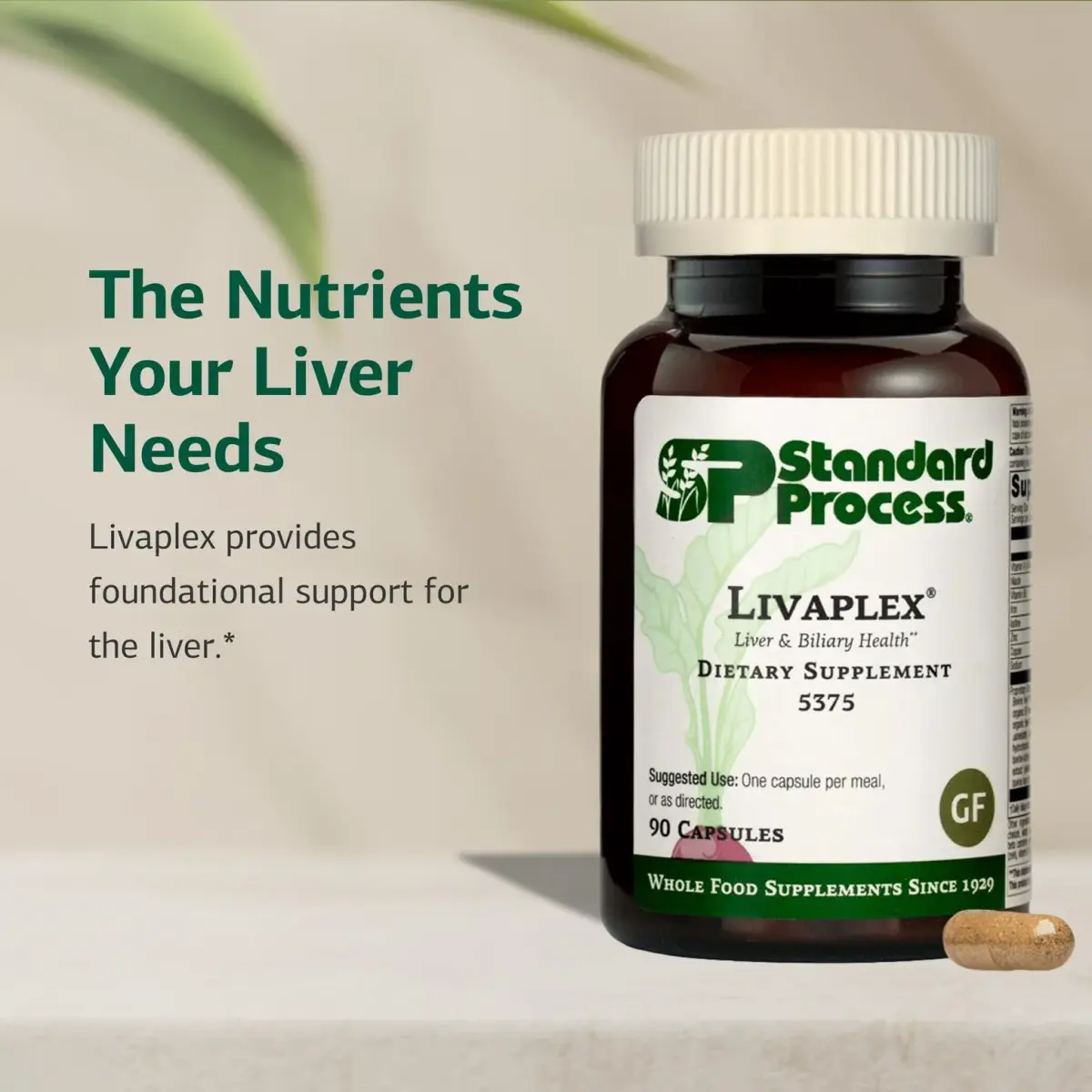 Standard Process Livaplex Liver Health Support Supplement 90 Capsules | Supports Digestion & Elimination - view 3