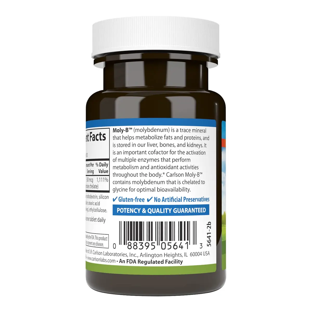 Carlson Moly-B, Metabolism Support, 100 Vegetarian Tablets | Supports Fat & Carbohydrate Metabolism - view 3
