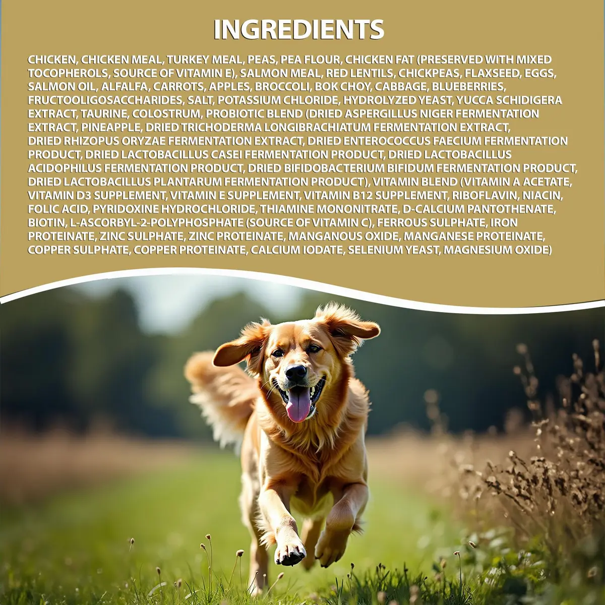 LEGACY High Protein Dog Food — Real Chicken & Turkey First Ingredient, Added Colostrum, Grain-Free, 25 lb | Supports Immunity & Digestion - view 7