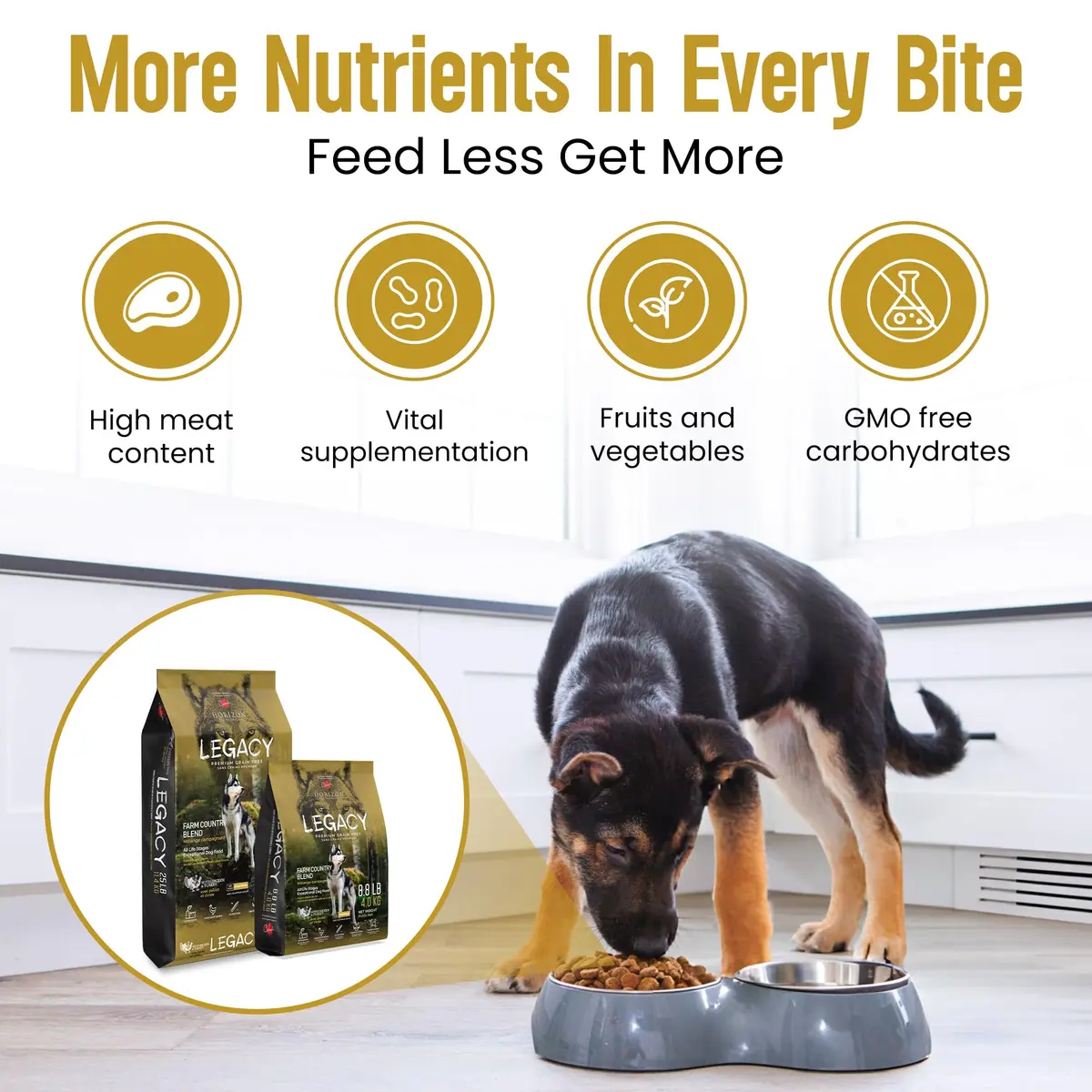 LEGACY High Protein Dog Food — Real Chicken & Turkey First Ingredient, Added Colostrum, Grain-Free, 25 lb | Supports Immunity & Digestion - view 3
