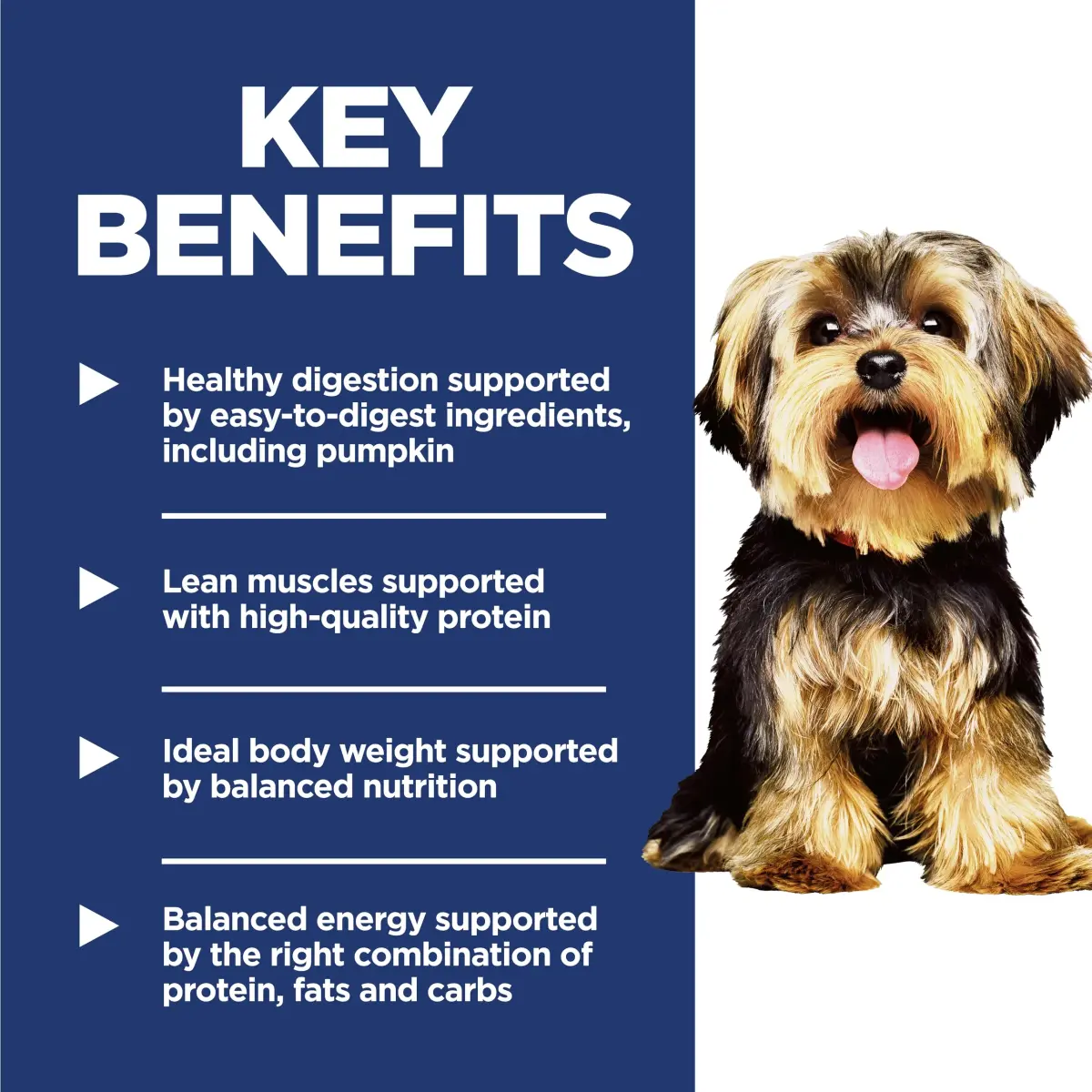 Hill's Science Diet Adult 1-6 Small & Mini Dry Dog Food, Chicken & Brown Rice, 2.04 kg (4.5 lb) | Veterinarian Recommended - view 3