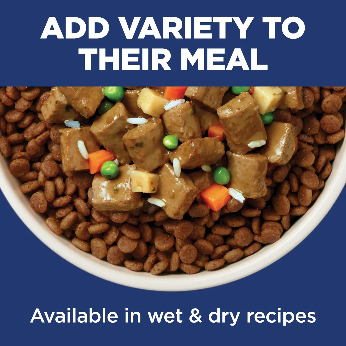 Hill's Science Diet Adult 1-6 Small & Mini Dry Dog Food, Chicken & Brown Rice, 7 kg (15.5 lb) | Veterinarian Recommended - view 8