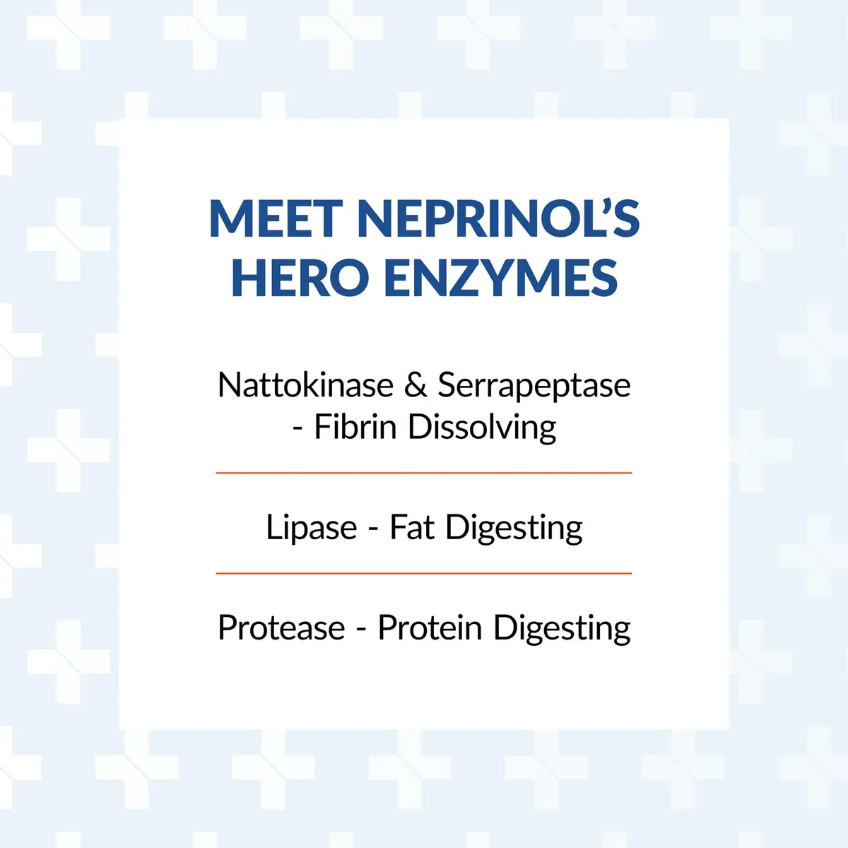 Arthur Andrew Medical Neprinol AFD Multi Enzyme Blend, 150 Count | Supports Joint Comfort & Circulatory Health - view 3