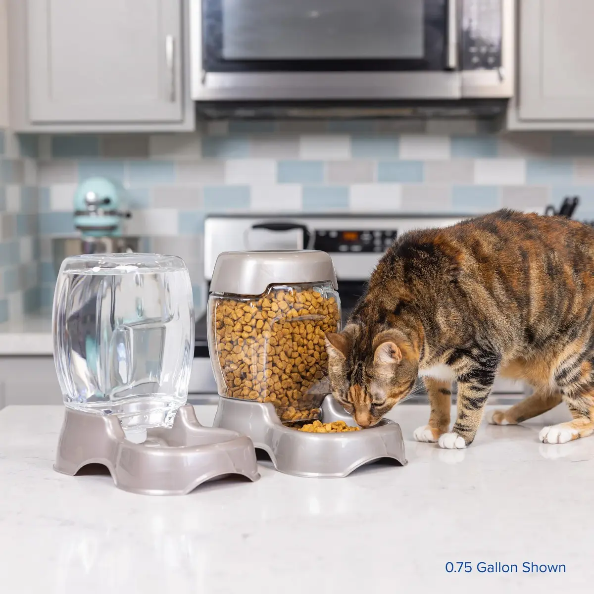 Petmate Pet Cafe Water Dispenser 2.84 L (0.75 GAL) | Gravity-Fed Automatic Waterer for Dogs & Cats - view 7