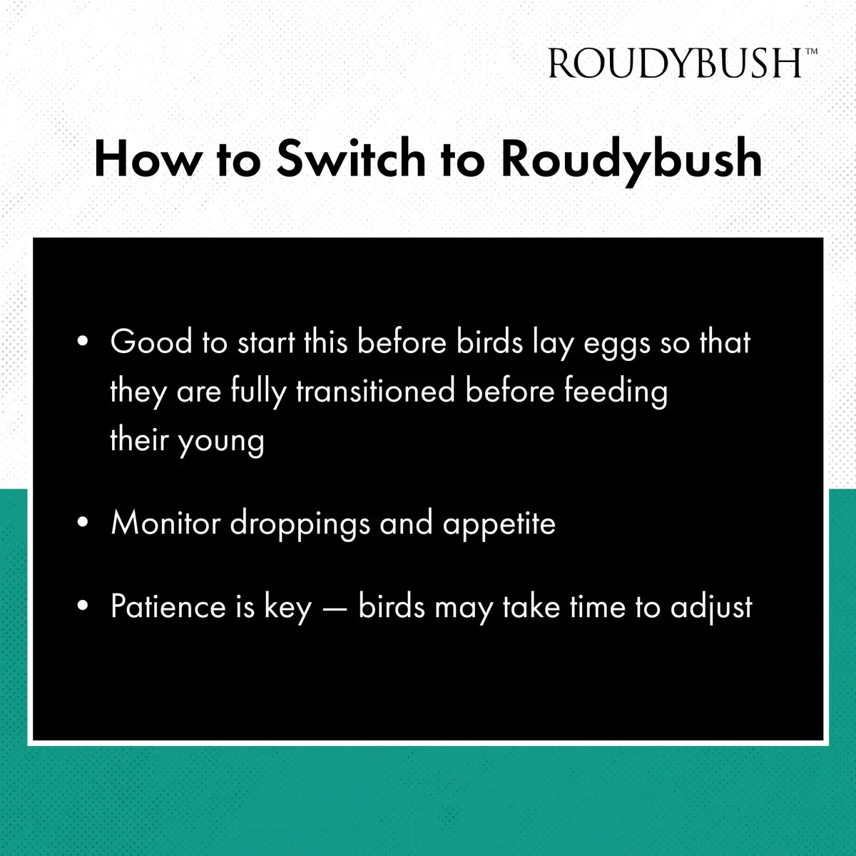RoudyBush Senior Diet Bird Food, Medium Pellets 44 oz | Supports Mature Birds' Nutrition - view 7