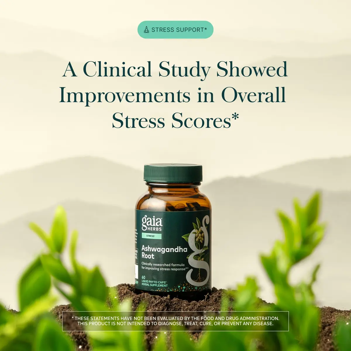 Gaia Herbs Ashwagandha Root 350 mg | Supports Stress & Sleep, Organic, Vegan - view 2
