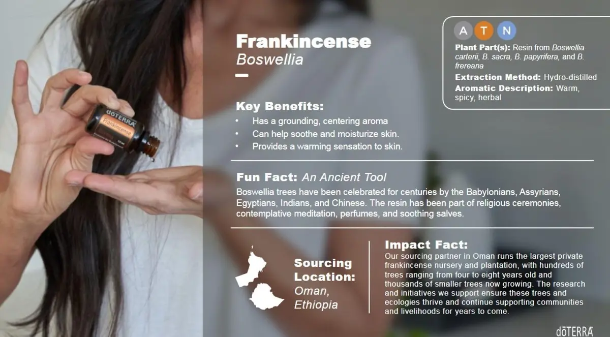 doTERRA Frankincense Essential Oil 15 ml | Cellular & Immune Support, US Sourced - view 3