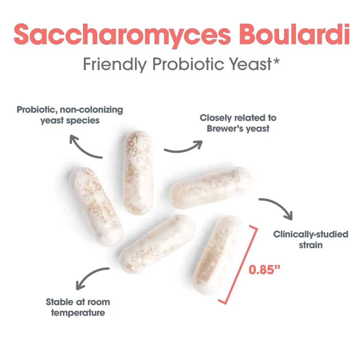 Allergy Research Group ARG Essential-Biotic Saccharomyces Boulardii 60 Capsules | Gut & Immune Support with 9 Billion CFU - view 4