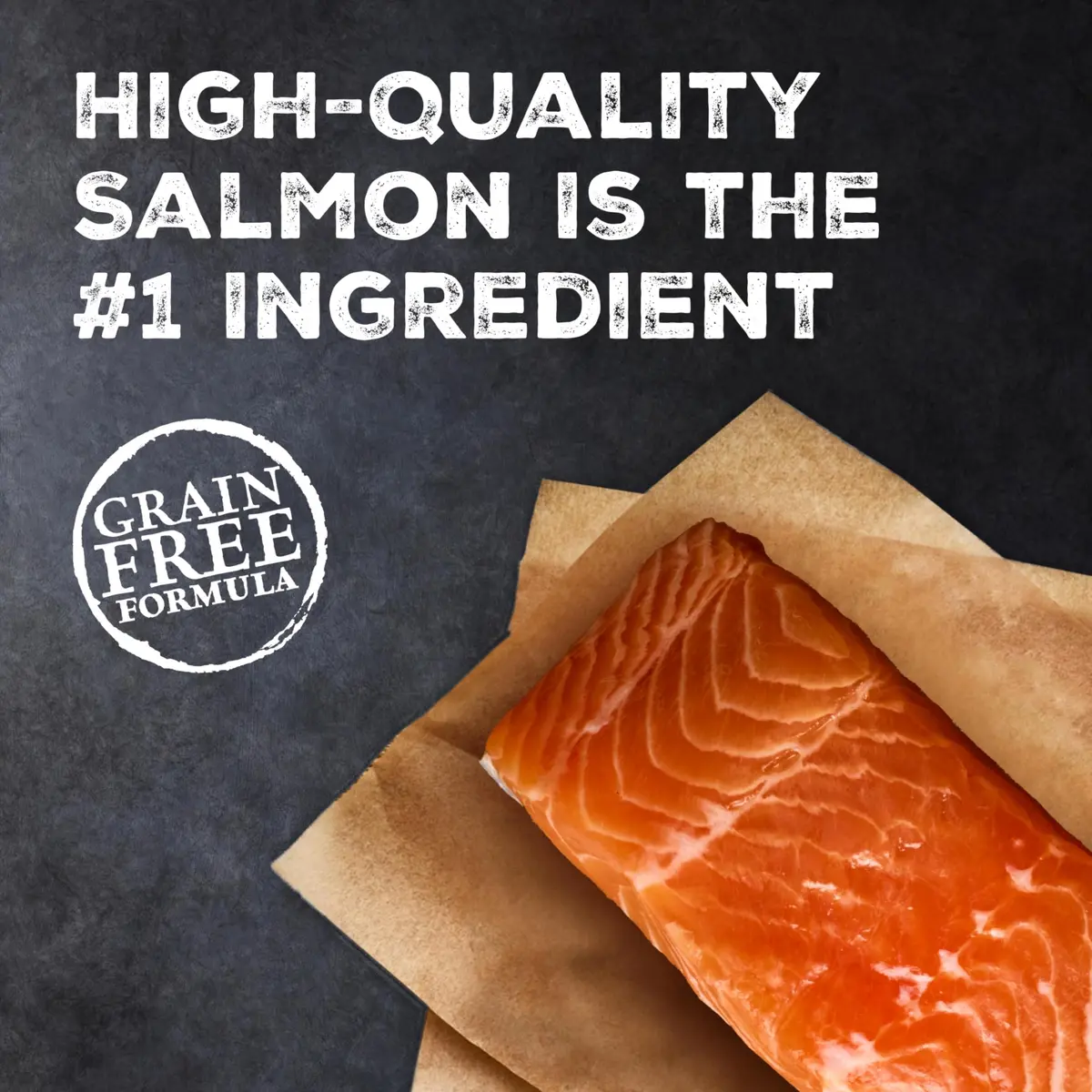 Blue Buffalo Wilderness Salmon Adult Dry Cat Food, Grain-Free, 11 lb | High-Protein Salmon Recipe for Adult Cats - view 2