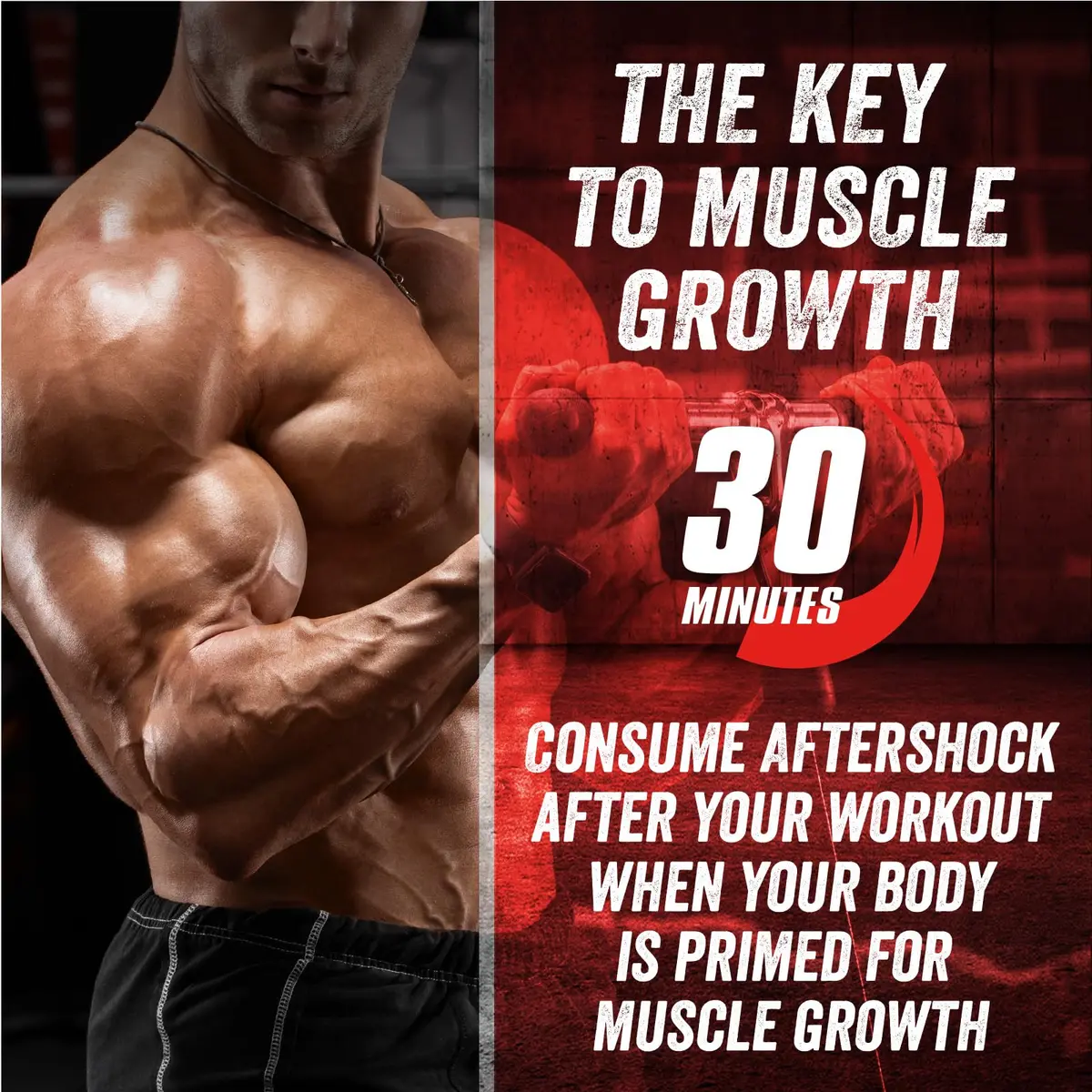 Myogenix Aftershock Post Workout 6 lbs | Speeds Muscle Growth & Recovery - view 4