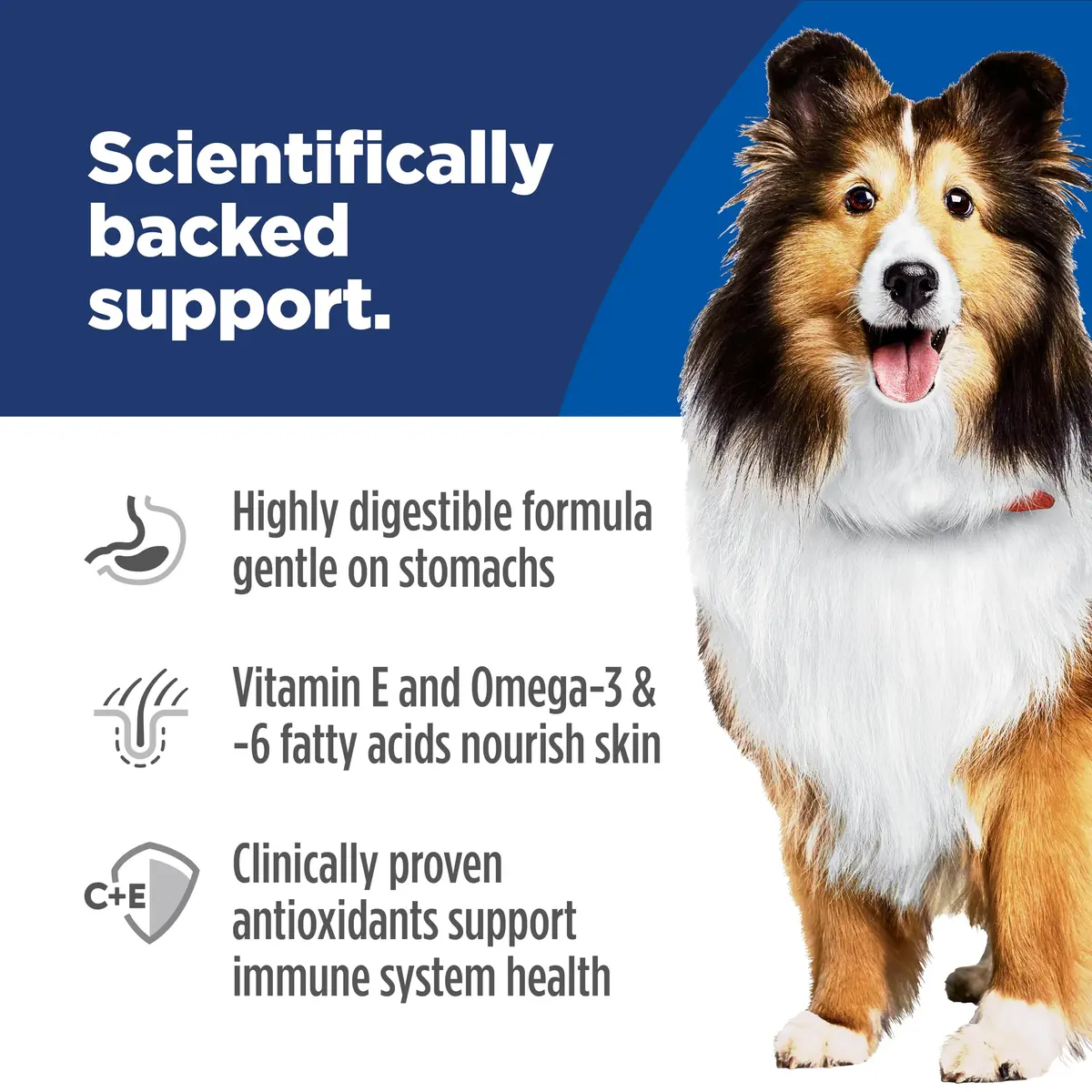 Hill's Science Diet Sensitive Stomach & Skin Dry Dog Food Chicken & Barley 7.03 kg (15.5 lb) | Veterinarian Recommended Formula - view 4