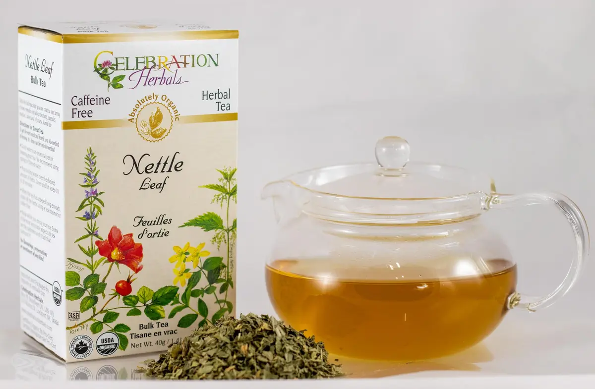 Celebration Herbals Nettle Leaf Organic 40 gm | 100% Organic, Ethically Wildcrafted, Pure Quality - view 3
