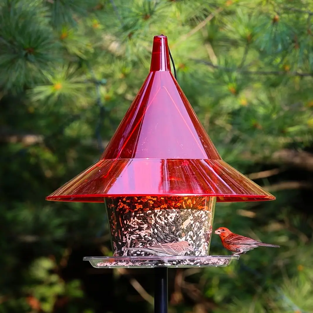 Sky Cafe Squirrel Proof Bird Feeder for Outside - Very Large, 17 in. Diameter, 1.5 Gallon Birdseed Capacity | Made in USA - view 2