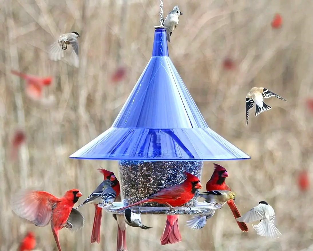 Sky Cafe Squirrel Proof Bird Feeder for Outside | Large, 17 in. Diameter, 1.5 Gallon Capacity, Made in USA - view 2
