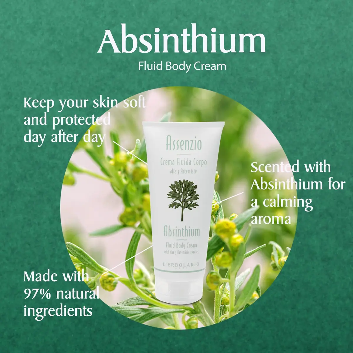 L’Erbolario Body Cream – Moisturizing Body Butter for All Skin Types – Revitalizing and Firming Skin Care with Herbal Notes - Absinthium – 6.7 oz - view 2