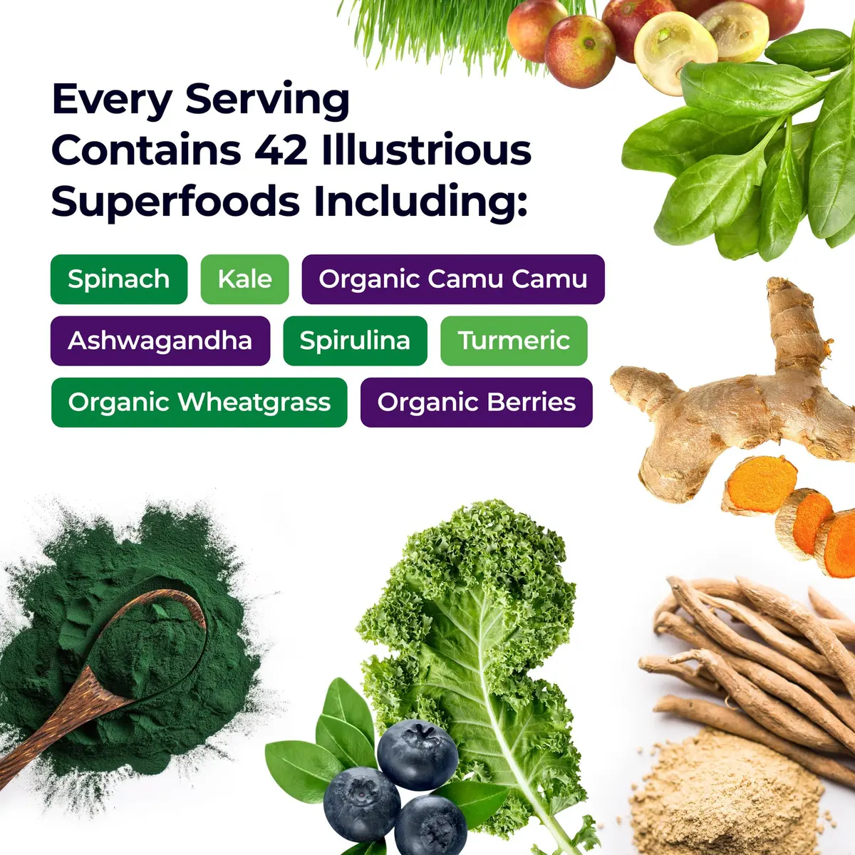 Paradise Herbs & Essentials ORAC Energy Superfood Capsules 120 Ct | Organic, Gluten-Free, Vegan - view 2