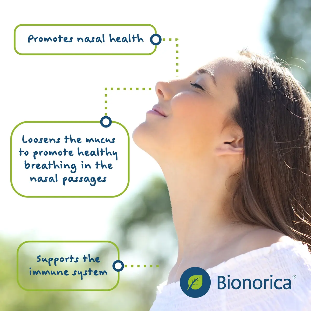 Bionorica Sinupret Sinus & Immune Support Supplement, 50 Tablets, 2 Pack | Natural Herbal Sinus Relief & Immune Boost - view 4