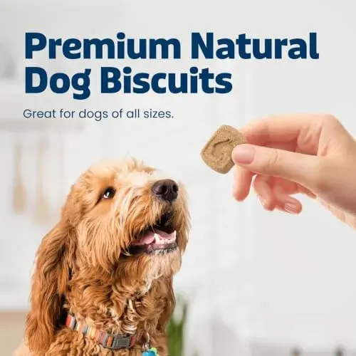 Blue Buffalo Health Bars Bacon Egg & Cheese Dog Biscuits 454g (16 oz) | Oven-Baked Crunchy Treats for All Breeds - view 2