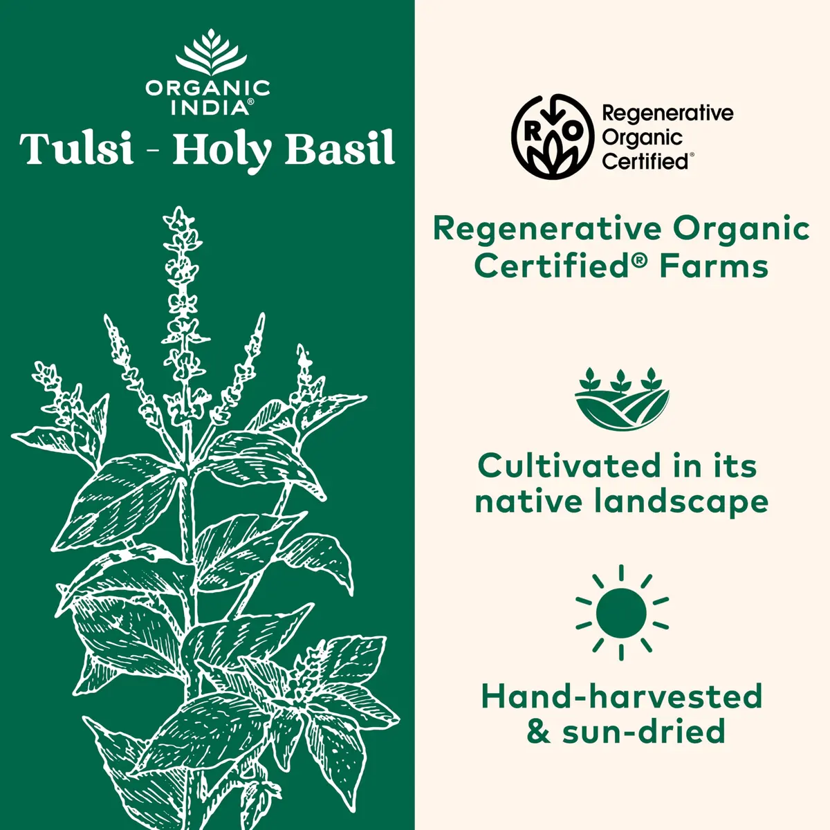 ORGANIC INDIA Tulsi Holy Basil Capsules, 90 Capsules | Vegan, Organic, Immune Support - view 2