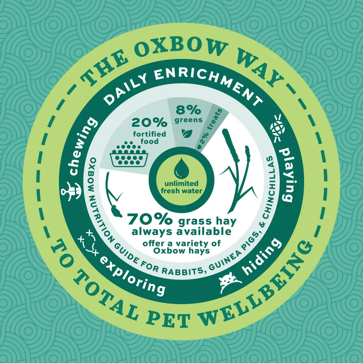 Oxbow Essentials Senior Rabbit Food 3.63 kg (8 lb) | High-Fiber Timothy Hay Pellets for Digestive Health - view 7