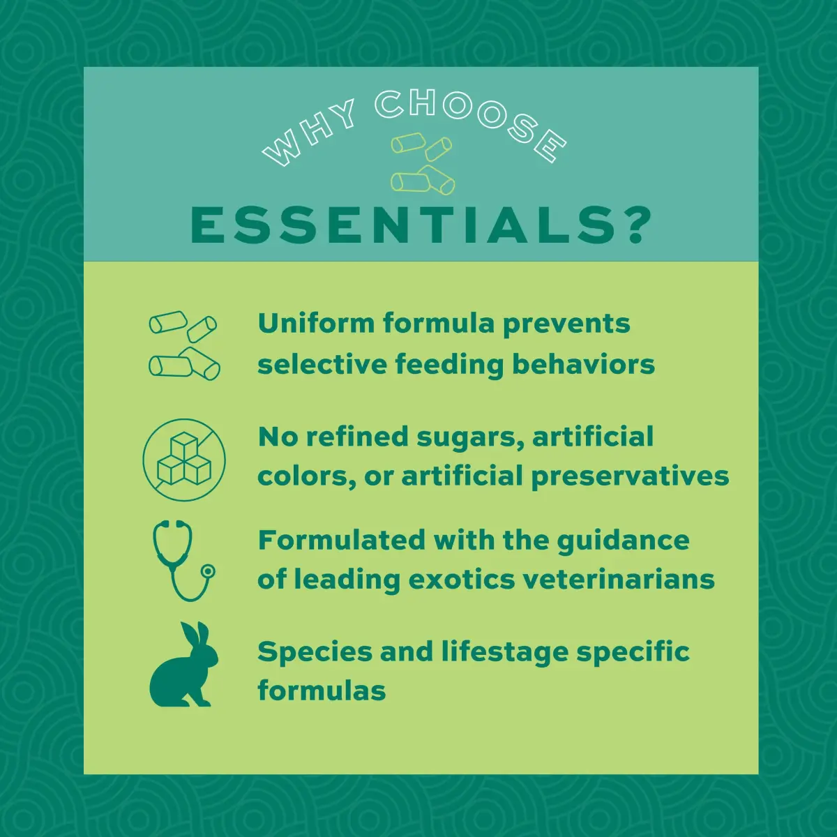 Oxbow Essentials Senior Rabbit Food 3.63 kg (8 lb) | High-Fiber Timothy Hay Pellets for Digestive Health - view 4