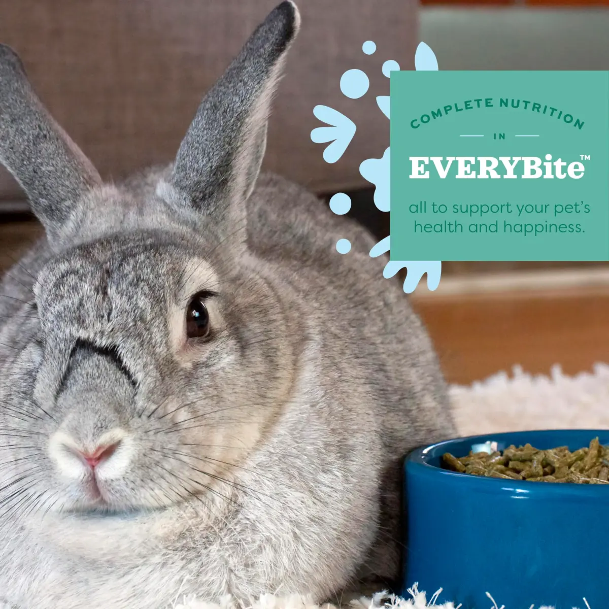 Oxbow Essentials Young Rabbit Food Pellets with Alfalfa Hay, 2.27 kg (5 lb) | High Fiber, Vet-Recommended Nutrition for Growing Rabbits - view 3