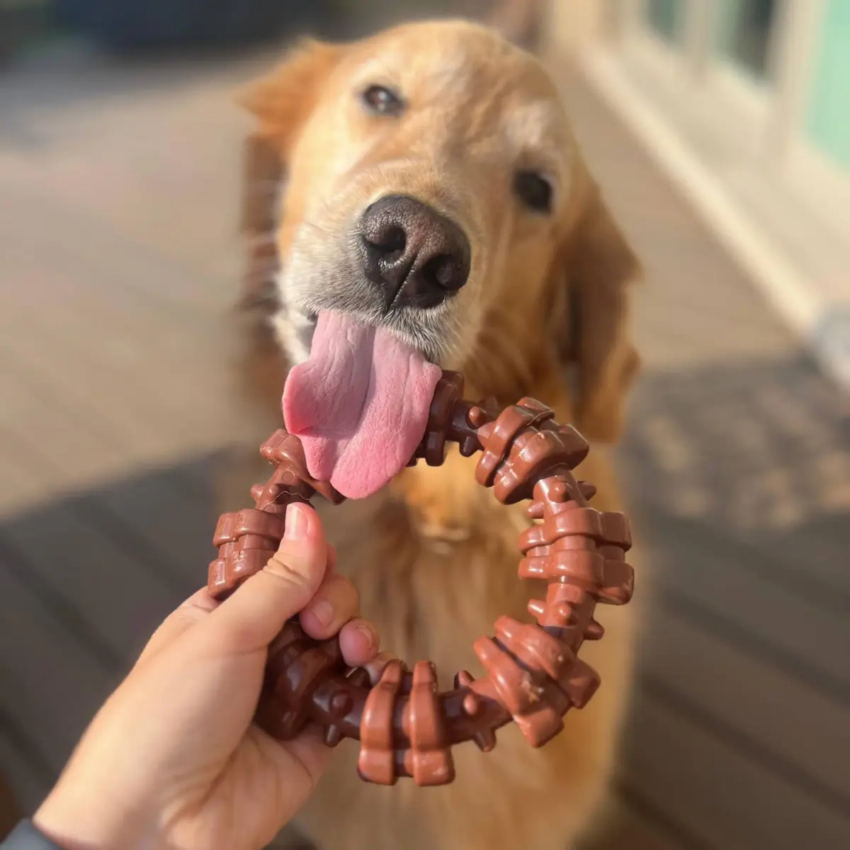 Nylabone Textured Ring Power Chew Toy for X-Large Dogs 50+ lbs | Durable Nylon Chew Toy for Aggressive Chewers - view 7