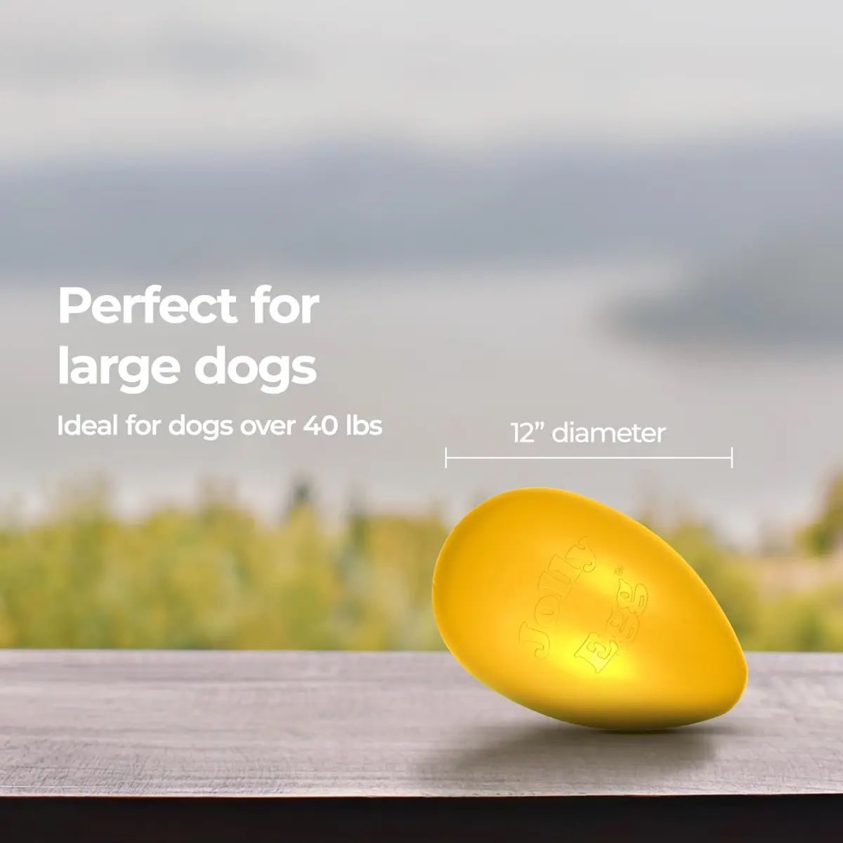 Jolly Pets Jolly Egg Herding Dog Toy, 12 inch (30.48 cm) Yellow, Large | Unpredictable Chase for Active Dogs - view 6