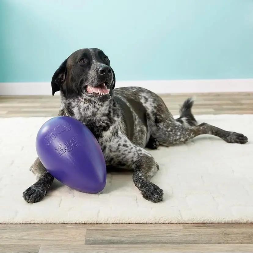Jolly Pets Jolly Egg Dog Toy Medium 8 Inches Red | Erratic Motion Fetch & Float Toy - view 8