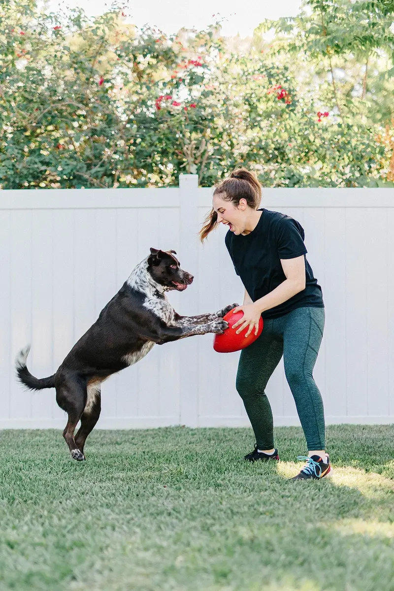 Jolly Pets Jolly Egg Dog Toy Medium 8 Inches Red | Erratic Motion Fetch & Float Toy - view 2