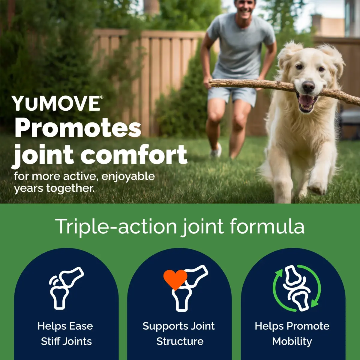 YuMOVE Dog Hip & Joint Supplement Regular Strength 300 Chewable Tablets | Vet-Recommended Mobility Support - view 2