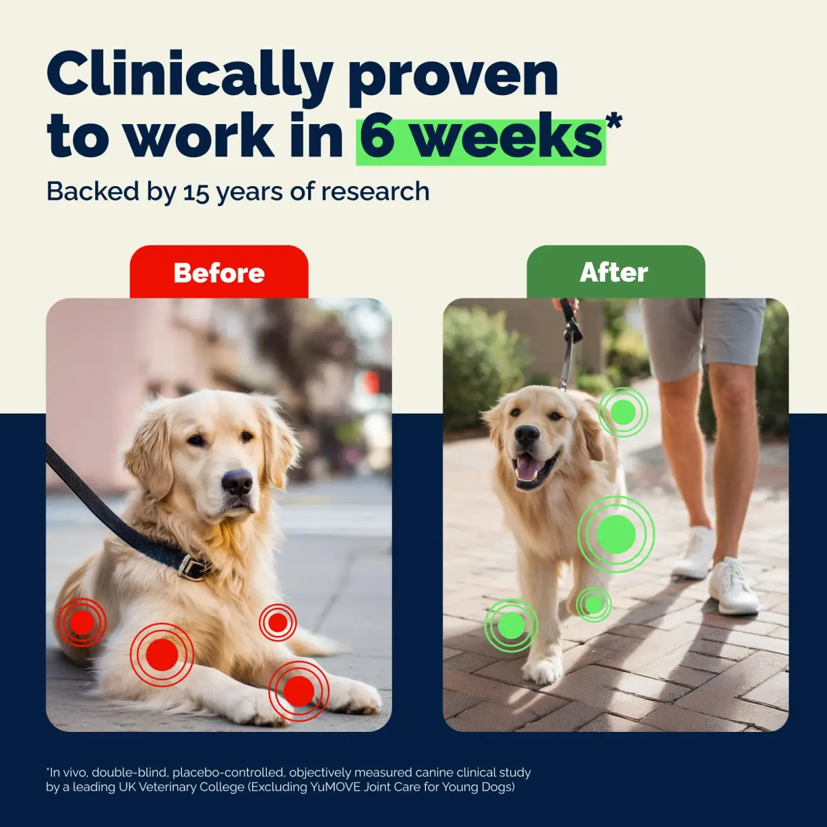 YuMOVE Dog Hip & Joint Supplement Regular Strength 300 Chewable Tablets | Vet-Recommended Mobility Support - view 3
