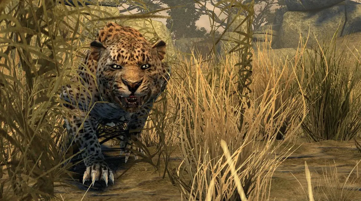 ACTIVISION Cabela's Dangerous Hunts 2011 with Top Shot Elite - Nintendo Wii | Hunting & Survival Action (70-120 chars) - view 7