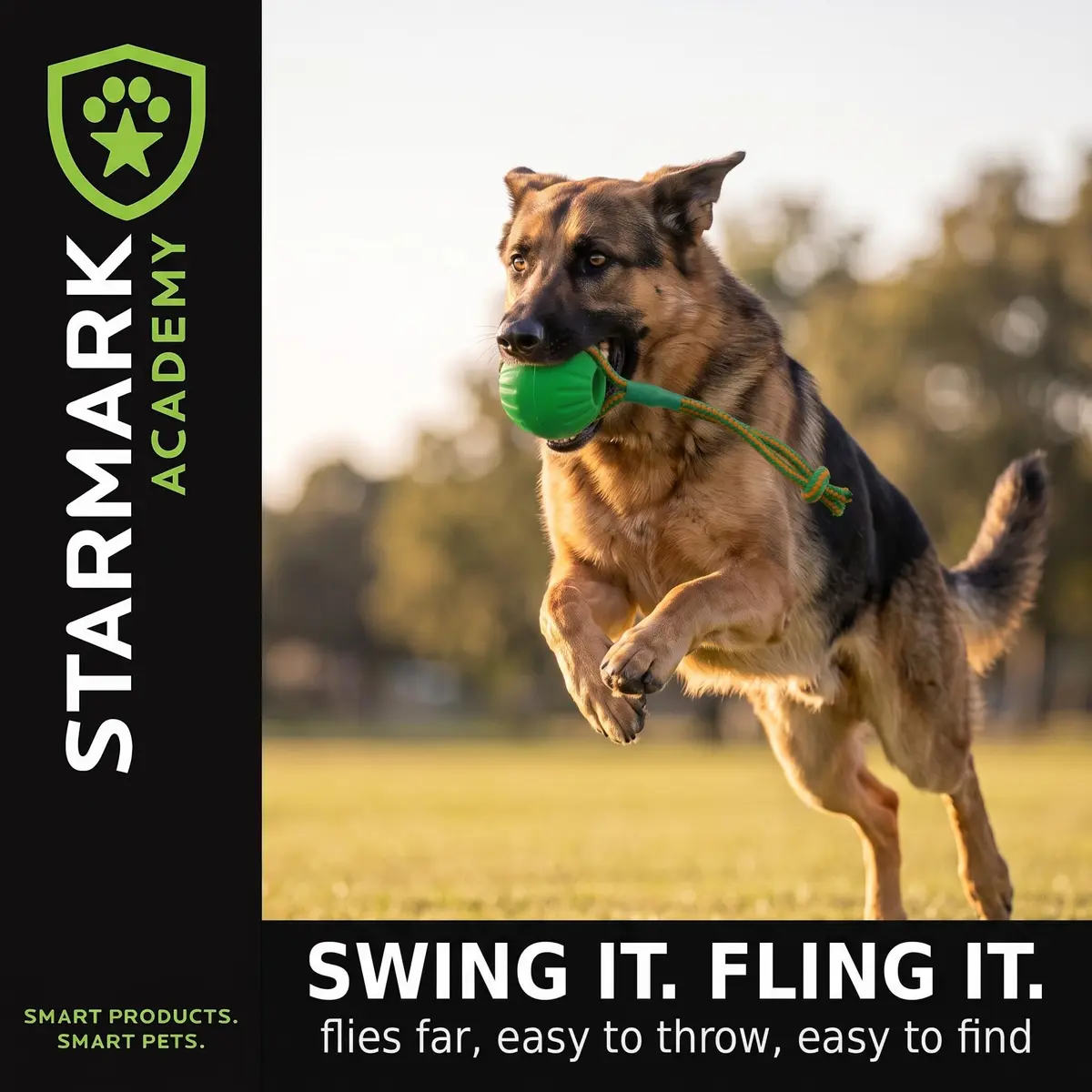 Starmark Everlasting Fun Ball on a Rope Dog Toy, 190.5 cm (75 in) Rope Length, Medium/Large, Green | Virtually Indestructible Fetch & Tug Toy - view 5