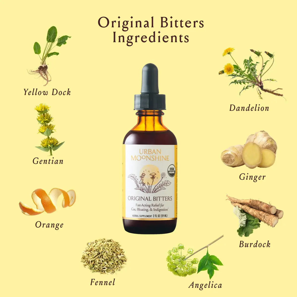 Urban Moonshine Digestive Bitters 8 Fl Oz | Organic Herbal Drops for Gas & Bloating - view 3