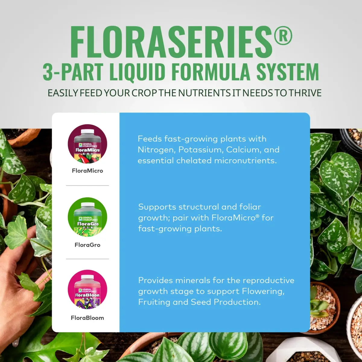 General Hydroponics FloraMicro 5-0-1 Plant Food 473ml (16 fl oz) | Foundation Nutrient for Hydroponic Growth - view 3