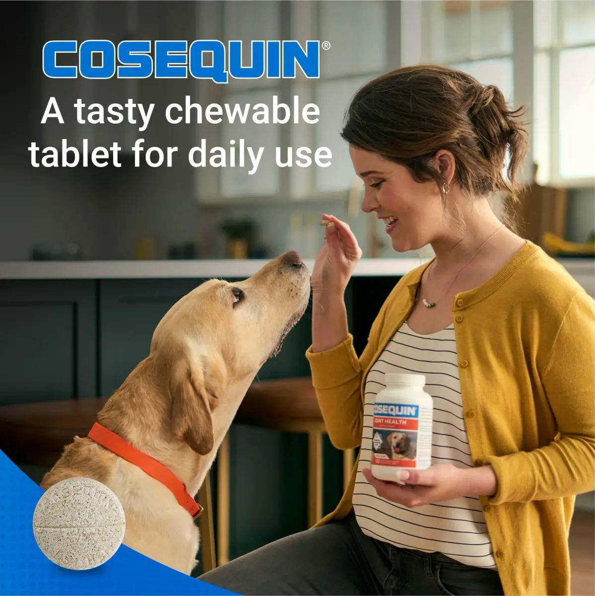 Nutramax Cosequin Joint Supplement for Dogs, Glucosamine & Chondroitin Chew Tabs, 60 Count | Supports Healthy Joints for All Breeds & Ages - view 5
