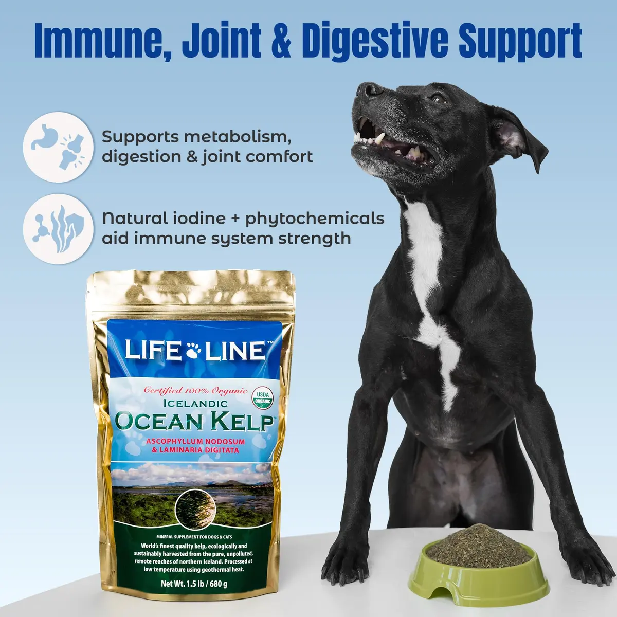 Life Line Organic Ocean Kelp Supplement for Dogs, Cats, Horses & Livestock | Natural Iodine Source, Supports Skin & Coat, Digestion | 1.5 lb - view 4