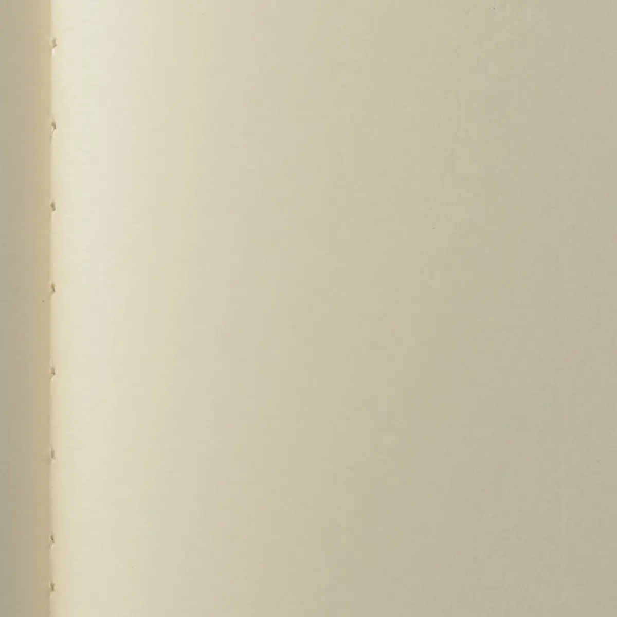 Life Noble Notebook Plain A4 N34 | Fountain Pen Friendly Paper for Professionals - view 2