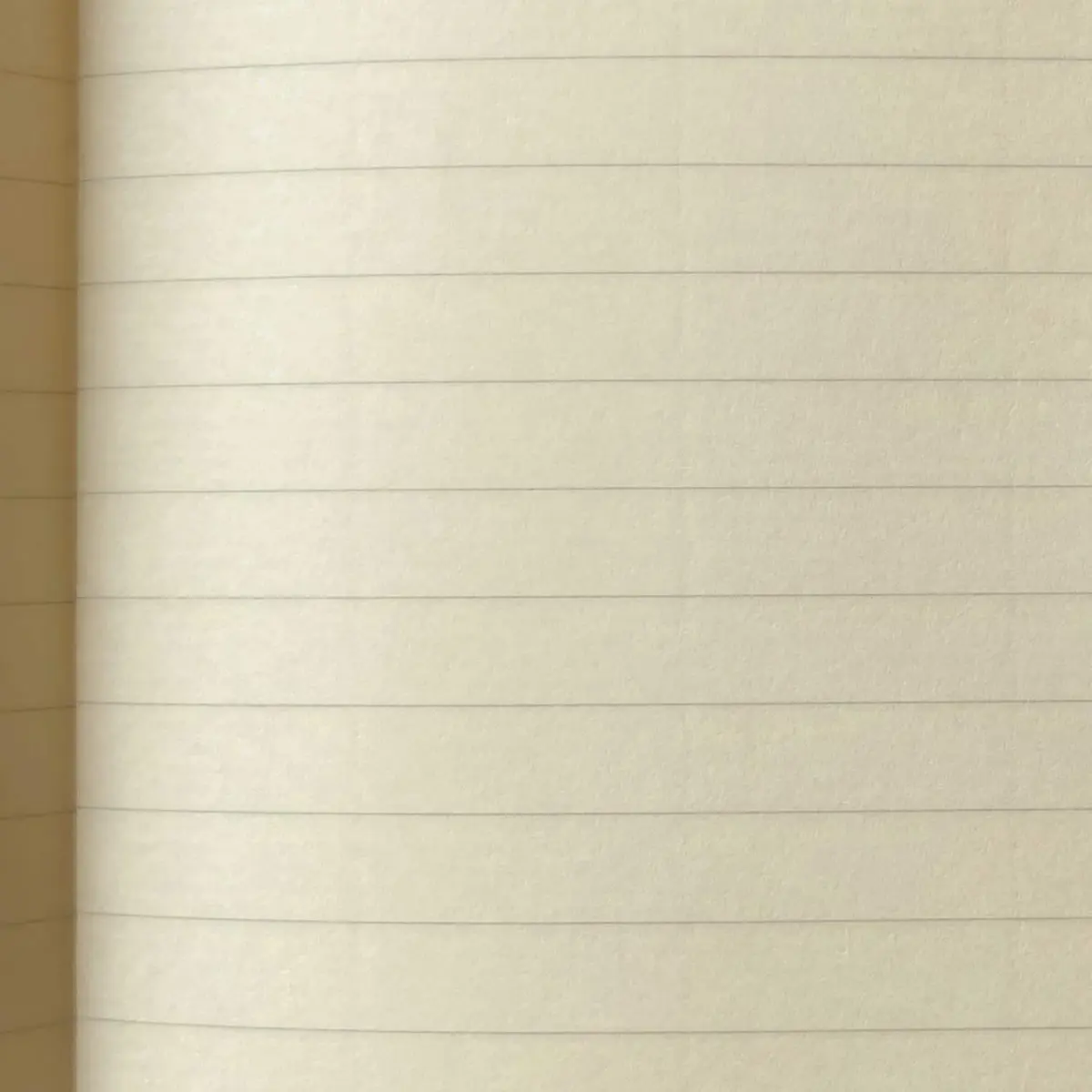 ライフ Noble Notebook Ruled A4 Notebook 29.7cm x 21.2cm (A4) | Fountain Pen Friendly Paper - view 2