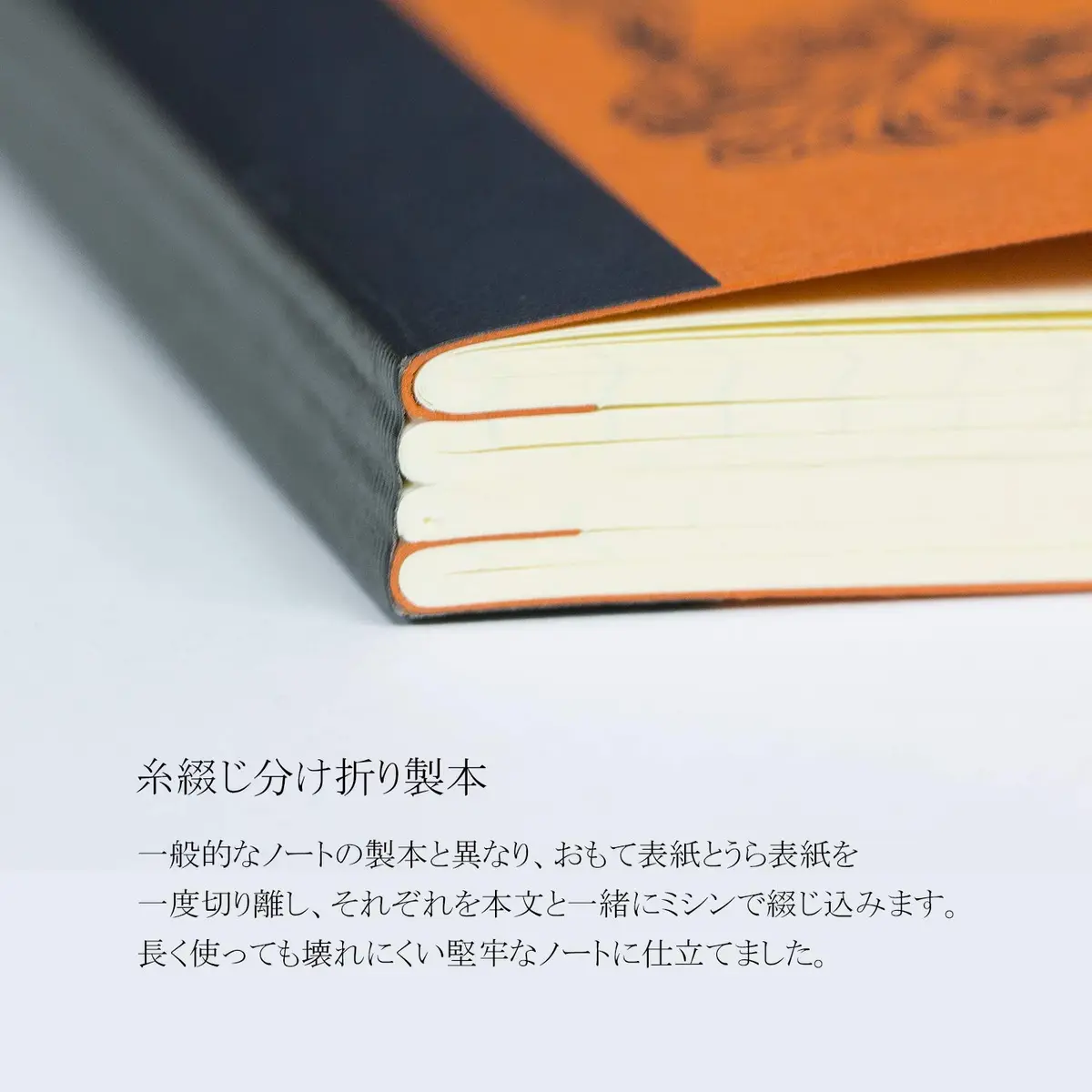 Life Noble Notebook B5 257mm x 183mm | Horizontal Ruled 8mm Lines - view 5