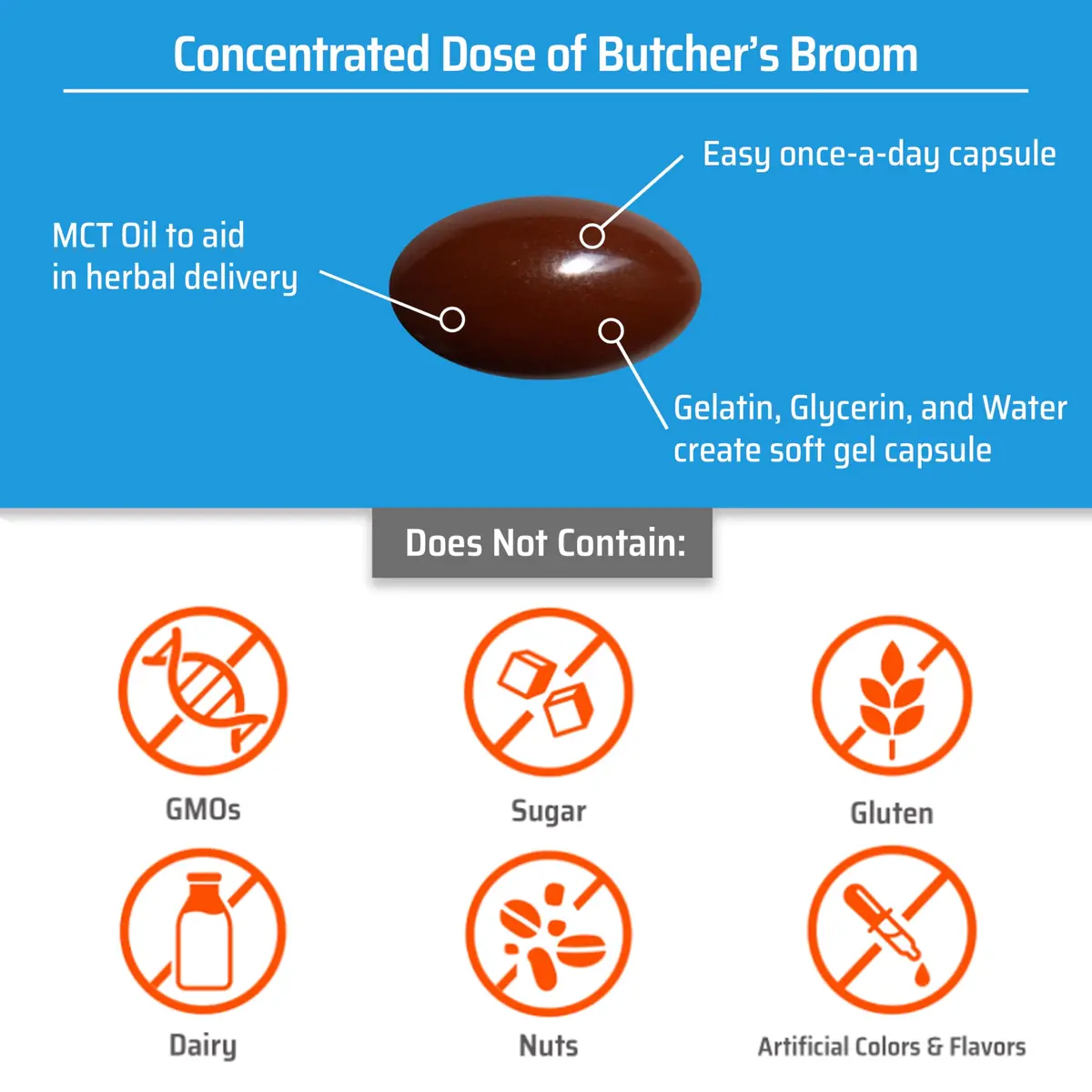 Sanhelios Circu Caps Butcher's Broom Extract 50 Caps | Supports Leg Circulation & Vein Health - view 6