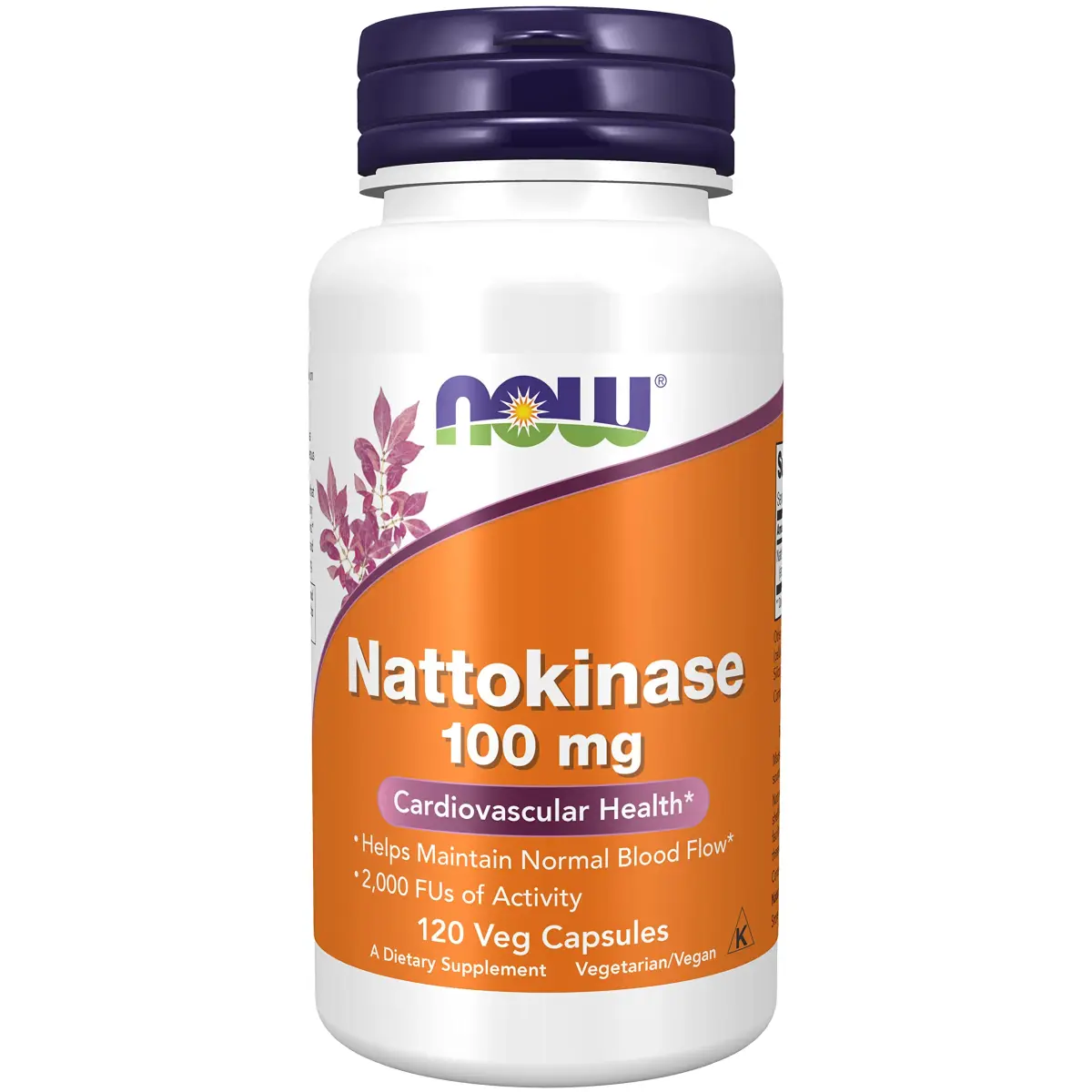 NOW Foods Nattokinase 100 mg 240 VegiCaps (Pack of 2) | Promotes Circulatory Health with 2000 FU - main product image