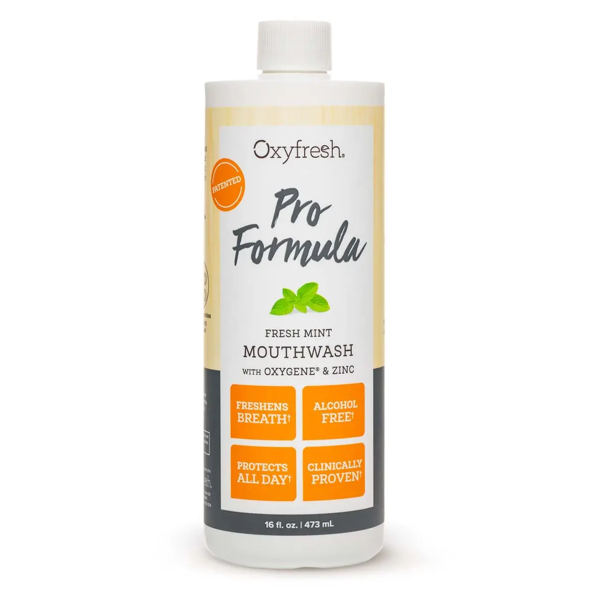 Oxyfresh Pro Formula Fresh Mint Mouthwash 16 Fl Oz | Zinc & Fluoride Free, Alcohol-Free, Gentle for Gums - main product image