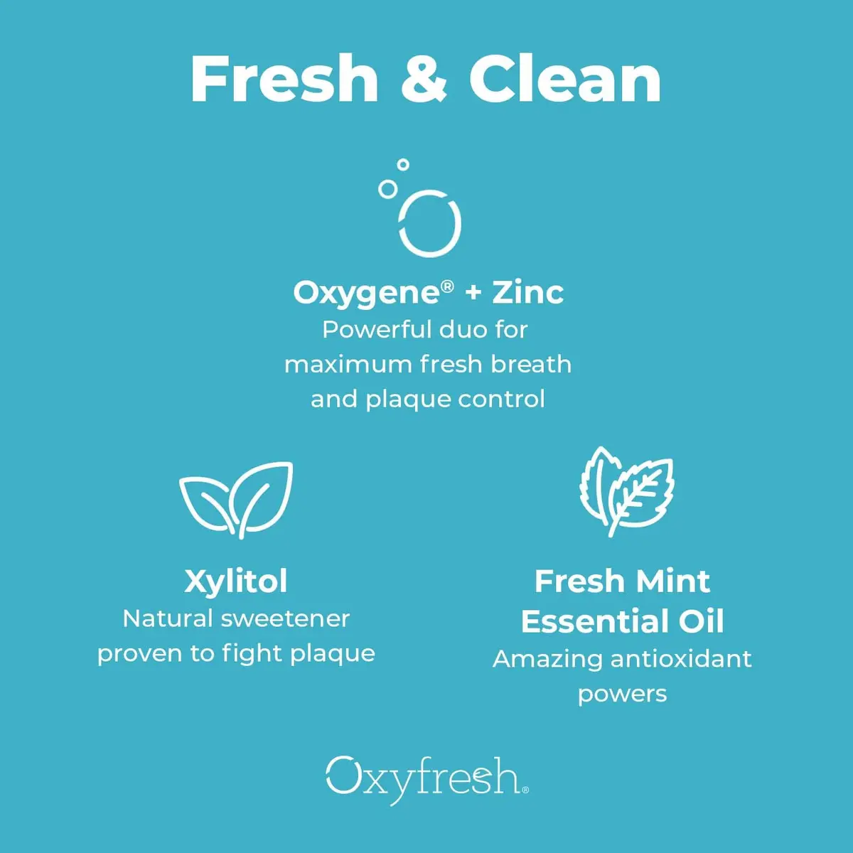 Oxyfresh Pro Formula Fresh Mint Mouthwash 16 Fl Oz | Zinc & Fluoride Free, Alcohol-Free, Gentle for Gums - view 8