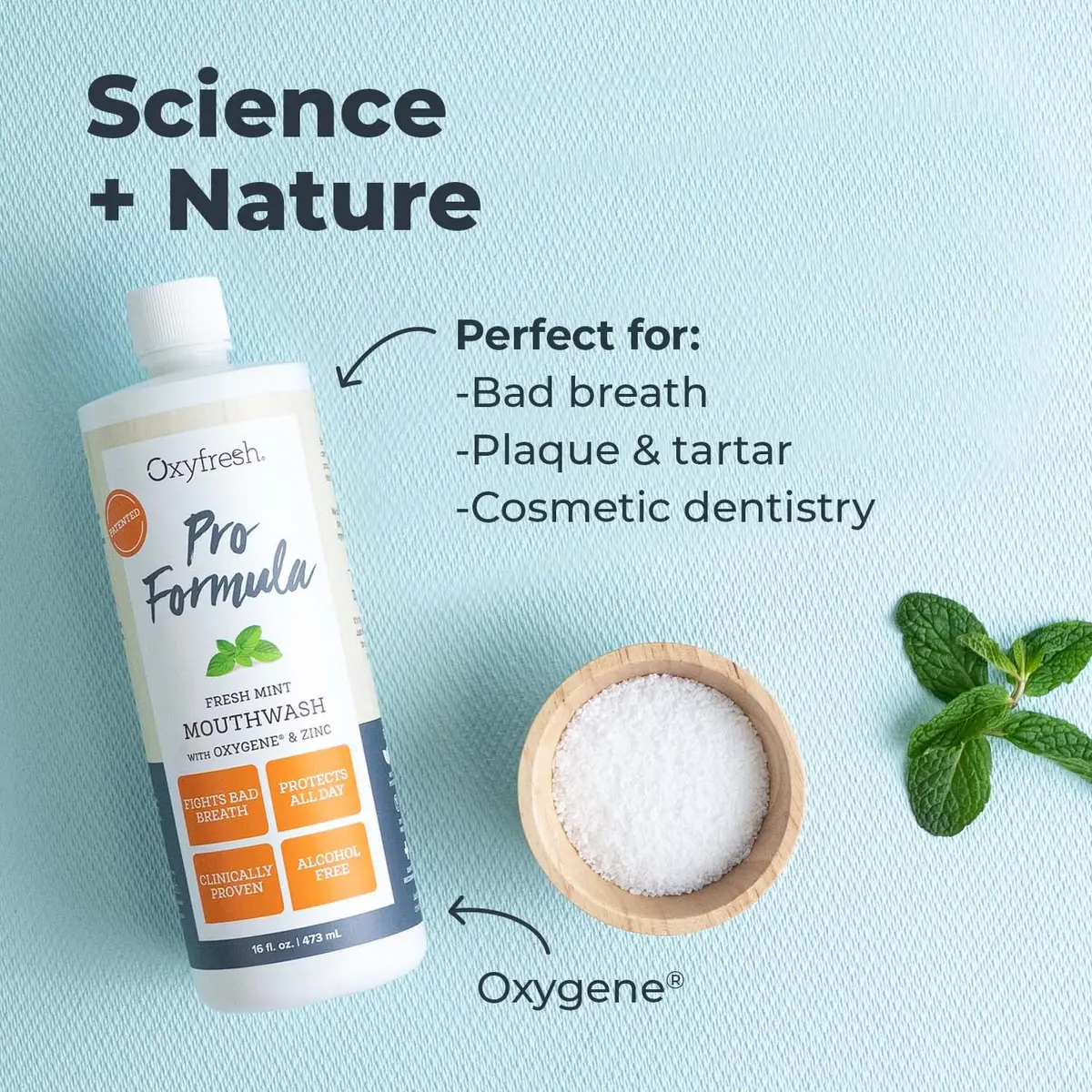 Oxyfresh Pro Formula Fresh Mint Mouthwash 16 Fl Oz | Zinc & Fluoride Free, Alcohol-Free, Gentle for Gums - view 4
