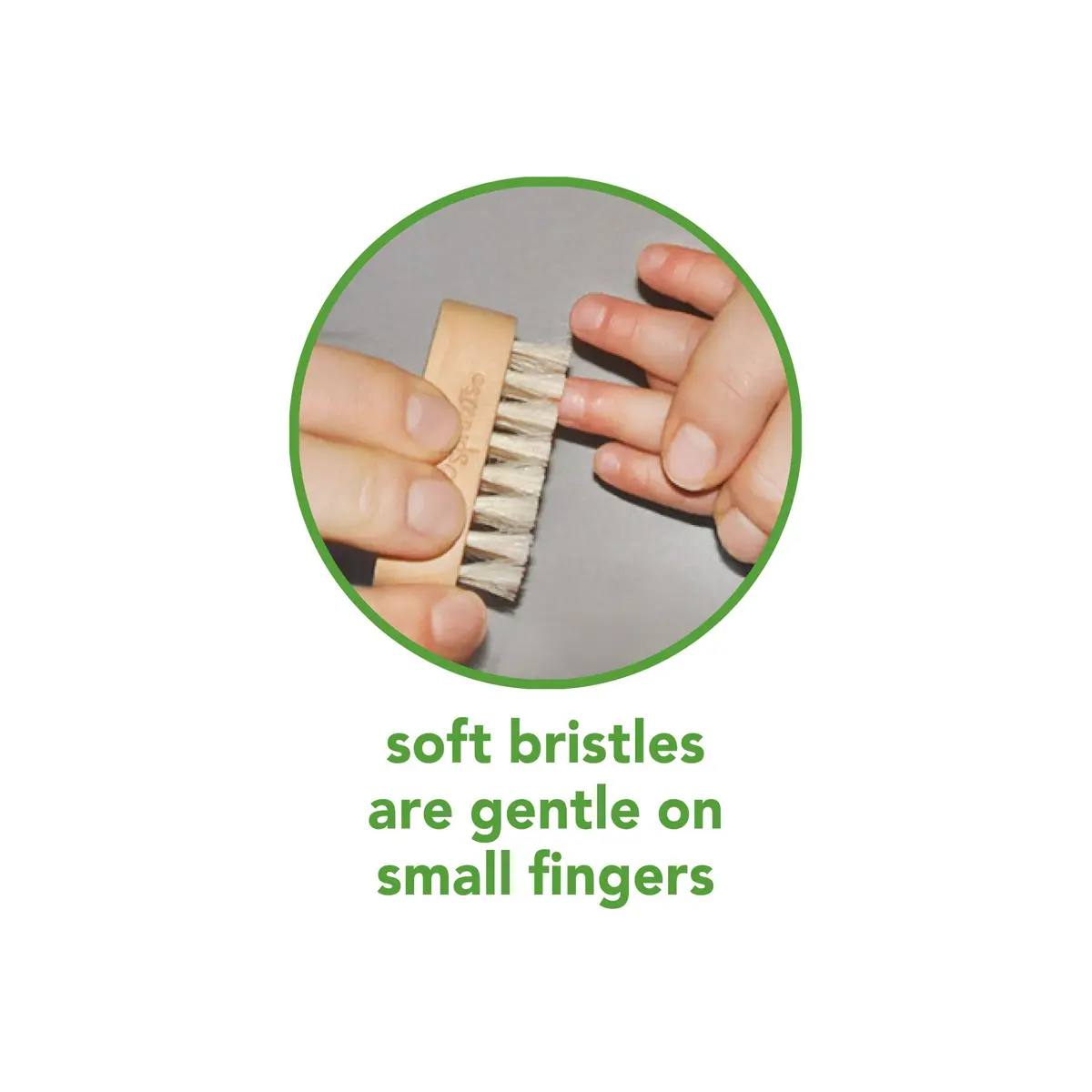 Green Sprouts Nail Brush | Soft Natural Bristles for Baby's Nails, Small Size, Green Handle - view 6