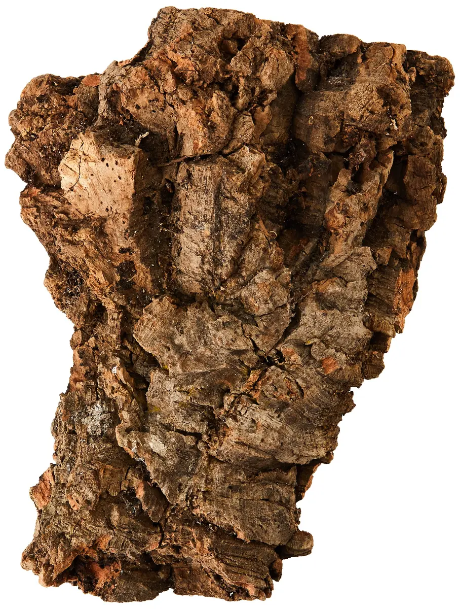 Komodo Habitat Bark, Medium | Natural Cork Hideout for Reptiles in India - main product image